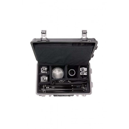 Nanlite Hardcase WRT-26 Forza 60 per 3pcs